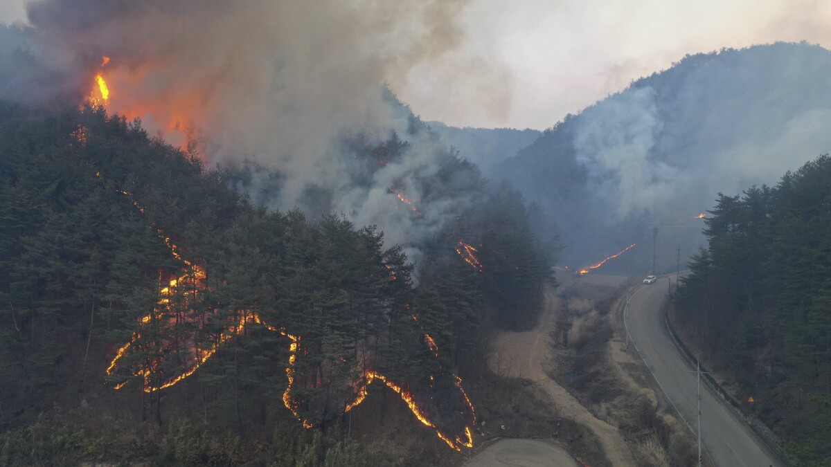 Corea del Sur declara más zonas de desastre por incendios forestales