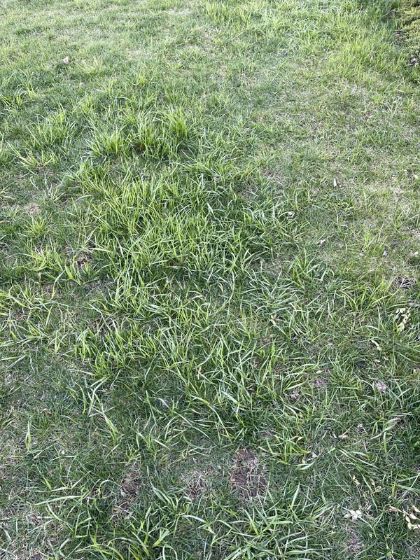 C7636224-BB9D-450A-844F-EEC197F7076B