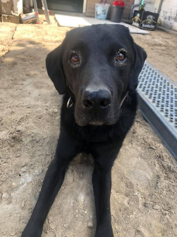 FB2CE63D-39BA-4DD1-A343-3286547BBB02