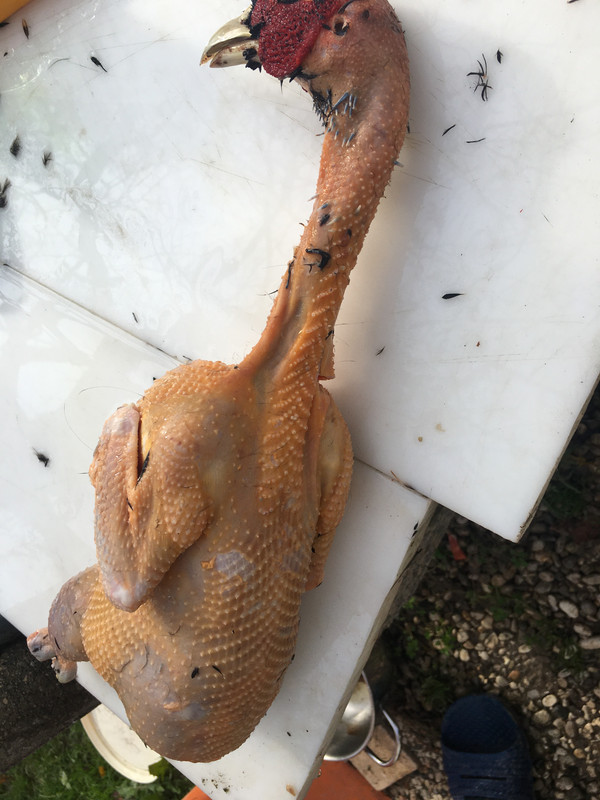 76121055-BF68-48DD-A1BC-6F850A987FEF