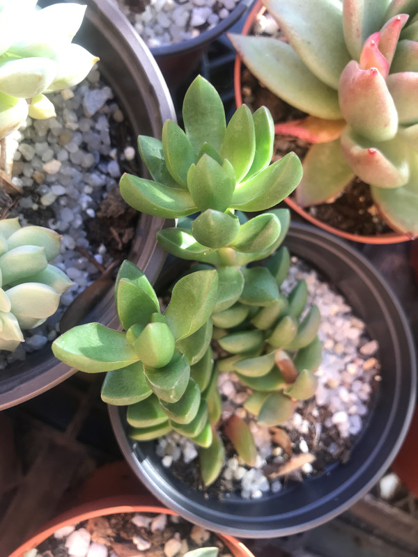 6FF5AE5C-B39B-4A72-9326-C8EDC905B14F