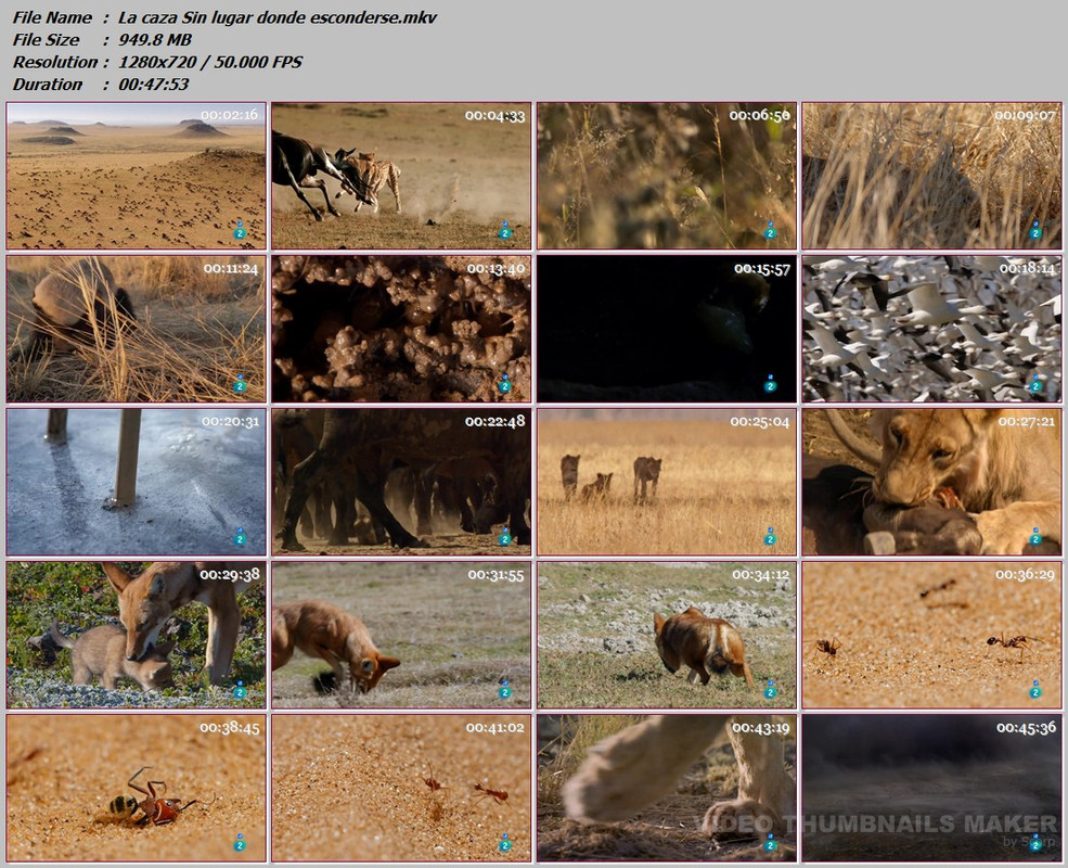 05- La caza Sin lugar donde esconderse Webdl 720p Esp 05- La caza Sin lugar donde esconderse Webdl 720p Esp