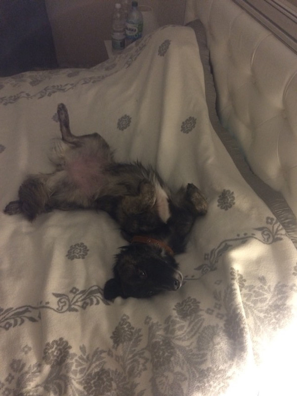 2DD2D3A2-601D-4FB8-8D8D-E12A6363BA8C