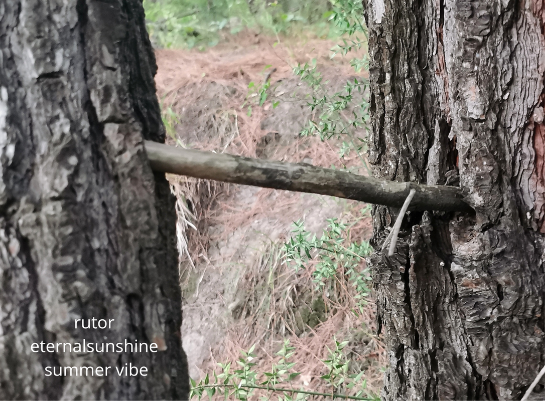 rutor-eternalsunshine-summer-vibe-20250822-223439-0000.png
