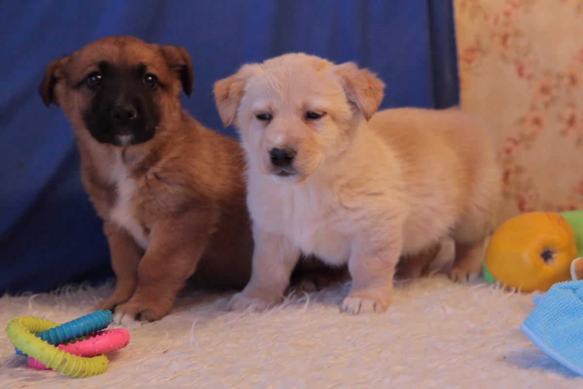 AE26881F-283B-4334-86DD-38BDB93D60F5