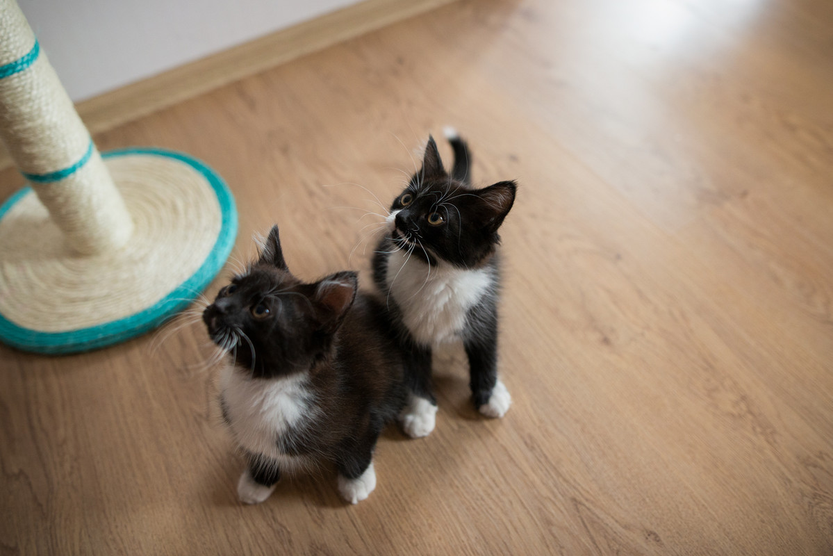 B3CD8C96-1F4C-4D2E-8F62-8FEEBCA68F9C