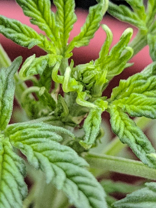 HC_20230205_174948_null