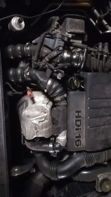 IMG_20200928_195556(3)