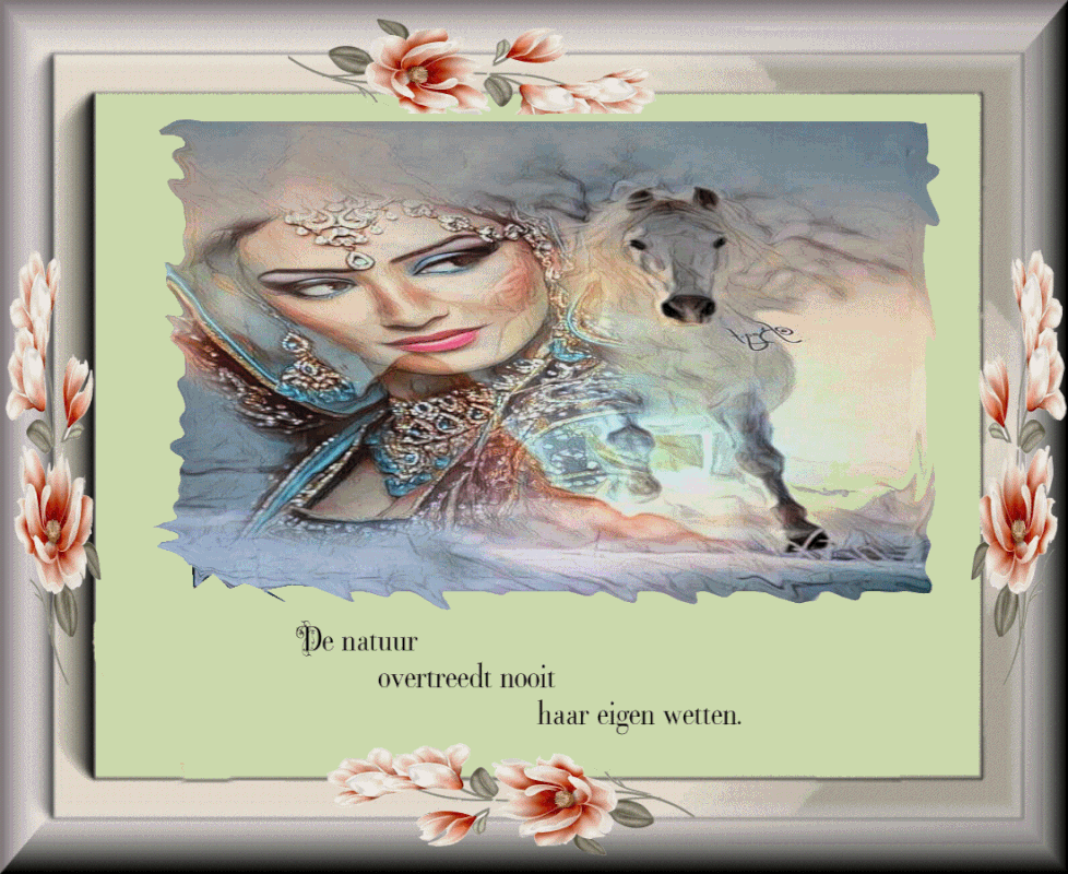 plaatje-16-juni-2021