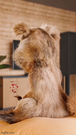 IMG-5265.gif