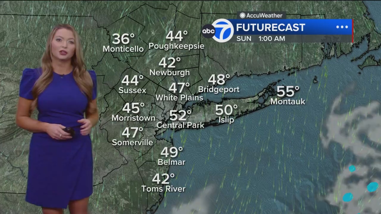 Eyewitness News Mornings at 10_20241101_14001500.ts_snapshot_18.56.303