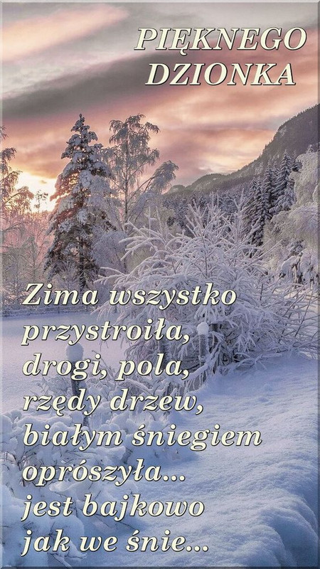 https://i.postimg.cc/xCQJnRgB/34211f46b20d05d455581bb642addf40.jpg