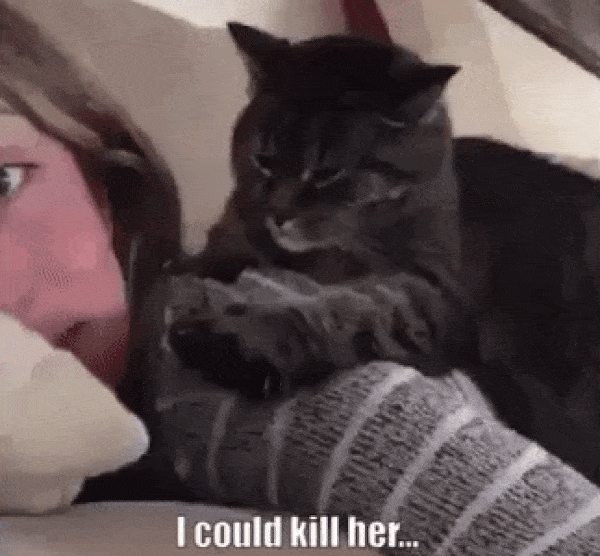 RQ5kmal.gif