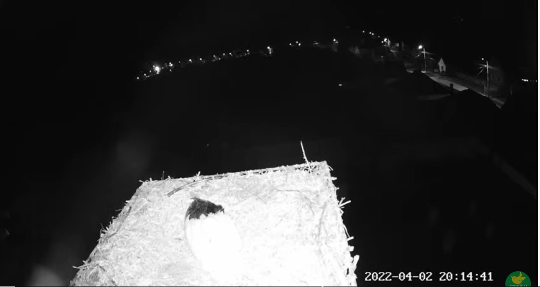 2022-04-02_201525otthon van, itt mintha hó esne