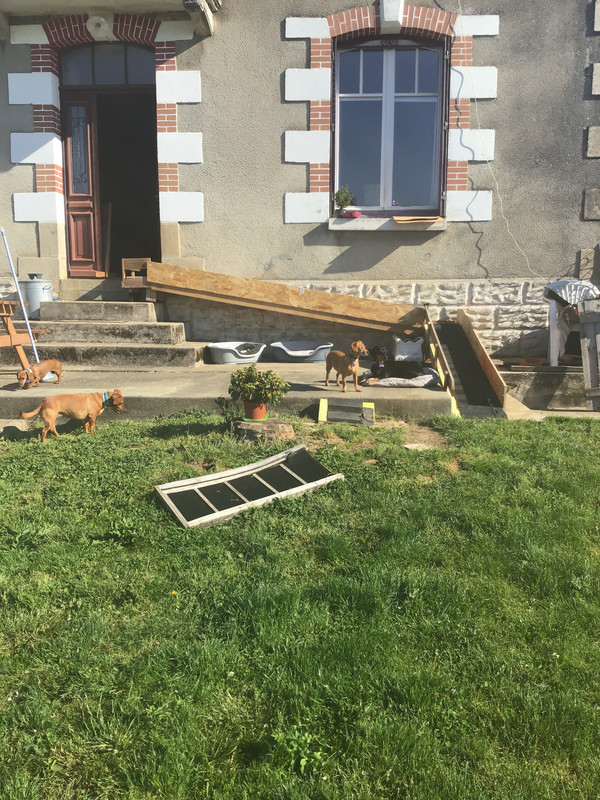 [Image: 5-EACA90-B-C474-4-CA5-931-C-7-B897611-D310.jpg]