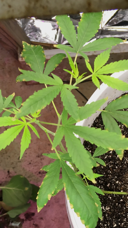 C2D70B92-B687-4D32-A871-AD172506A6FF