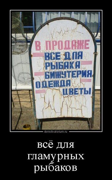 37695f7d5af59fc6964fea85fe8bb3c3