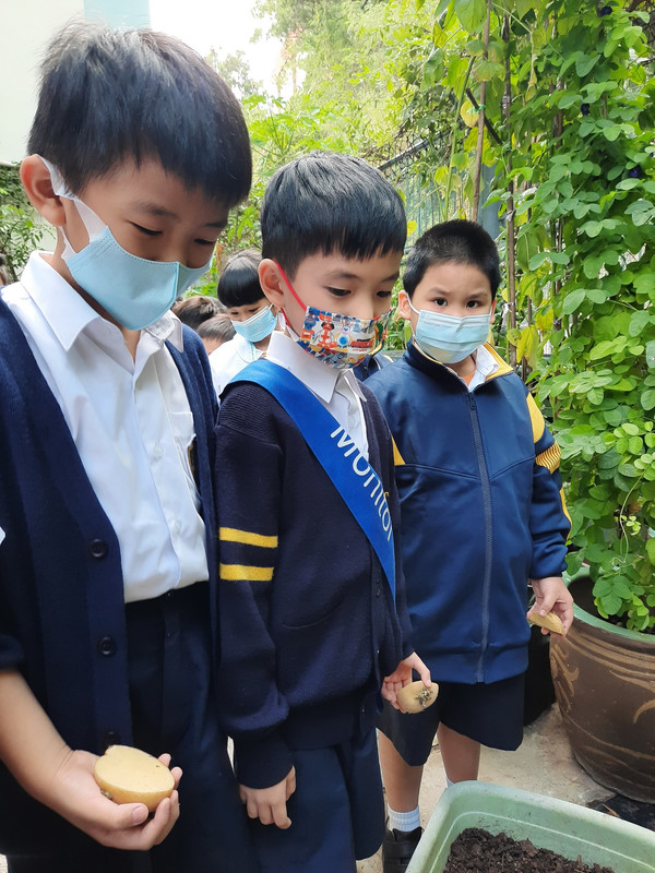 photo-littlefarmer2223-1A-003