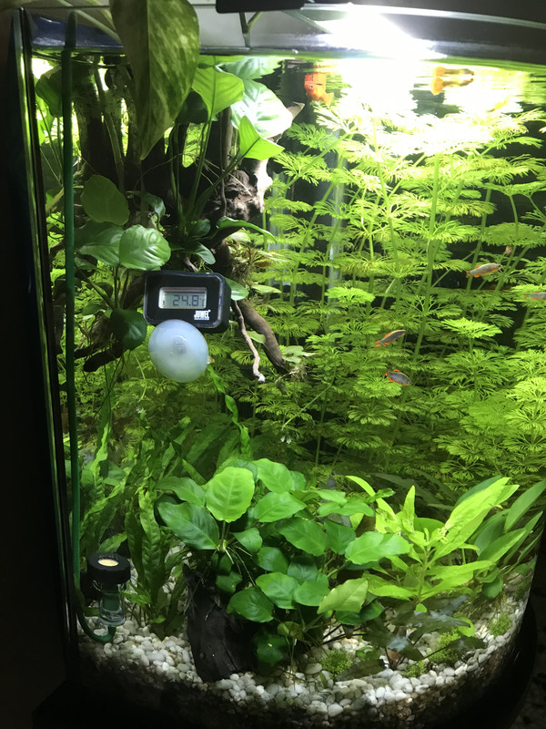 A9C9A434-A358-4B8F-AB3E-857FBB98CE2E