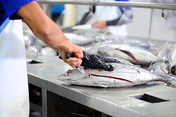 seafood processing