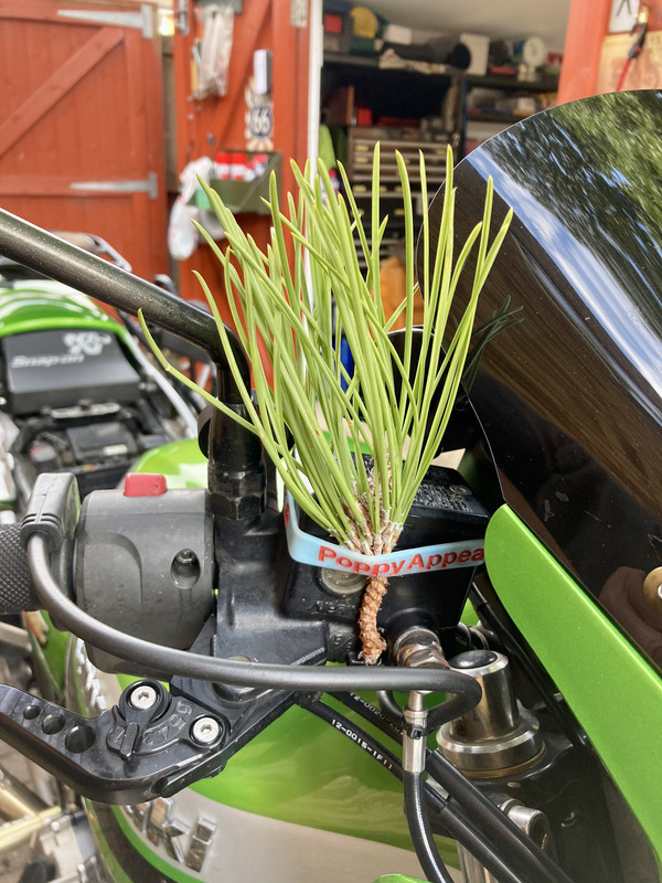 A713F8FC-D134-40A5-BF84-3322A60FA713