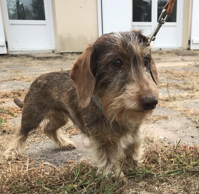 [Image: D252-B734-9-CE1-46-B2-A86-F-52-CEA2-B57490.jpg]