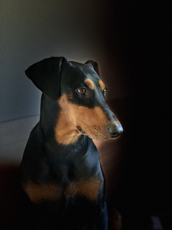 B78CF022-5434-4B6A-B5E5-90E2FF21F1D5