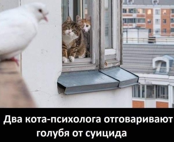 18308423.jpg
