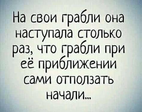 https://i.postimg.cc/xCS99N29/242053271-314125980516145-7428802048275355460-n.jpg