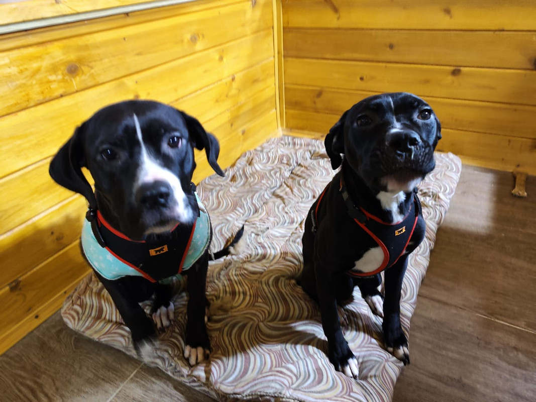 6A60809C-AE7D-44A7-9204-E7B0C36E5267