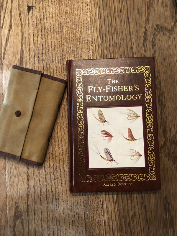 4EEA2FE1-E7E4-4374-8FD2-E76D86D31208