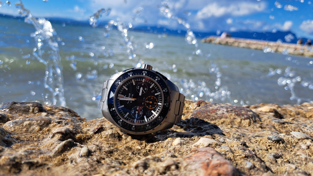 07_münsterländer - 20240928_145903