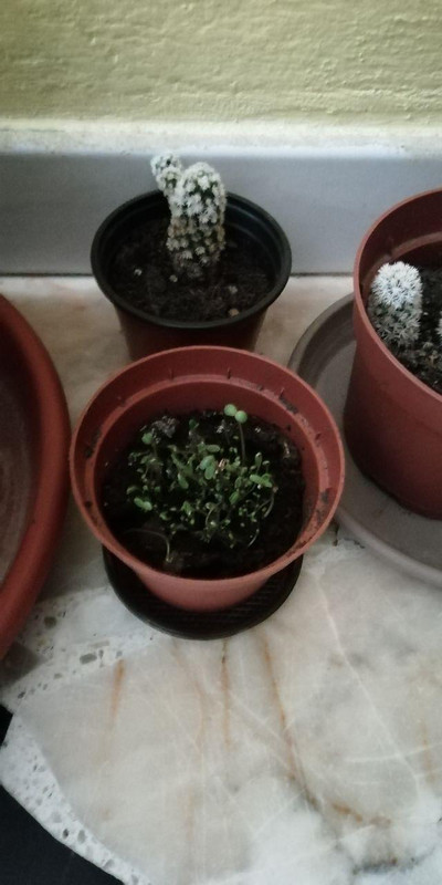 photo_2019-03-15_14-38-34