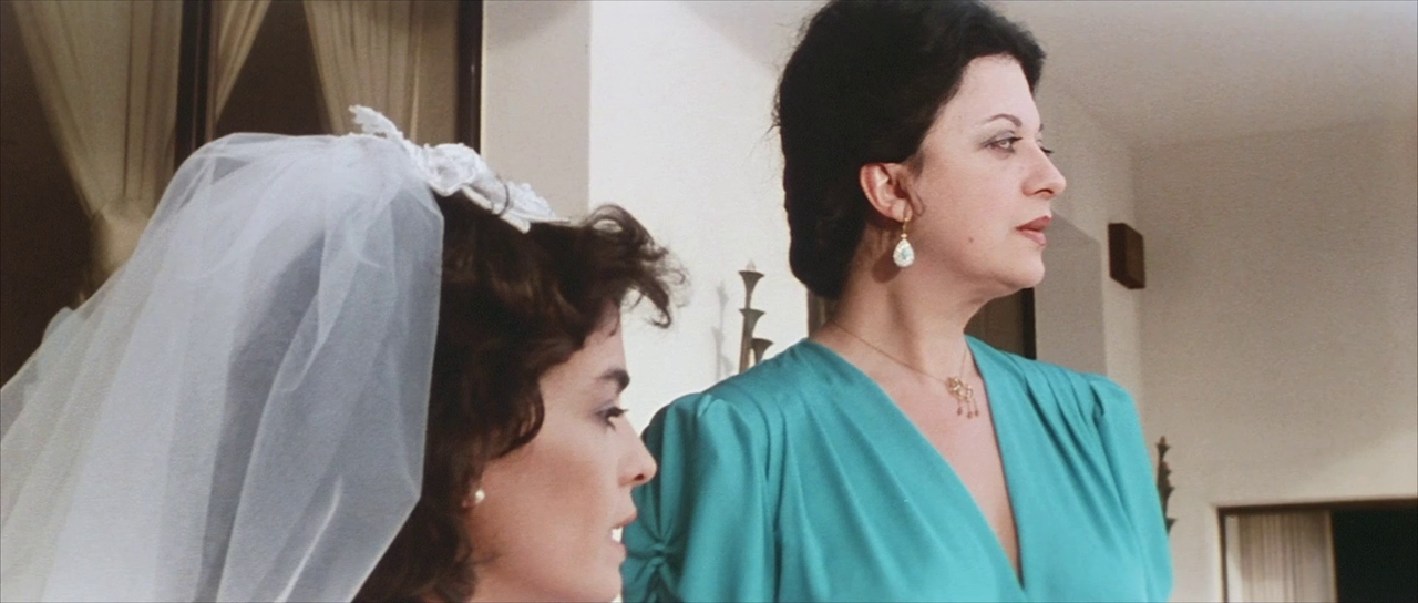 vlcsnap-2024-02-10-11h43m30s844