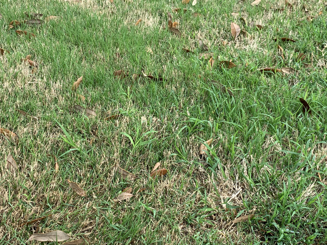 5BDF67A0-F73D-404A-93BB-2FFD0DF8921E