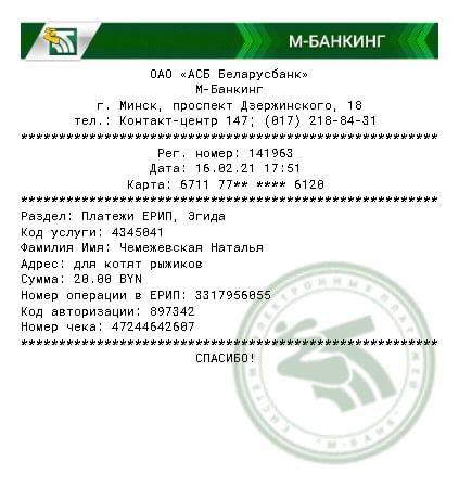 ЧемежевскаяН