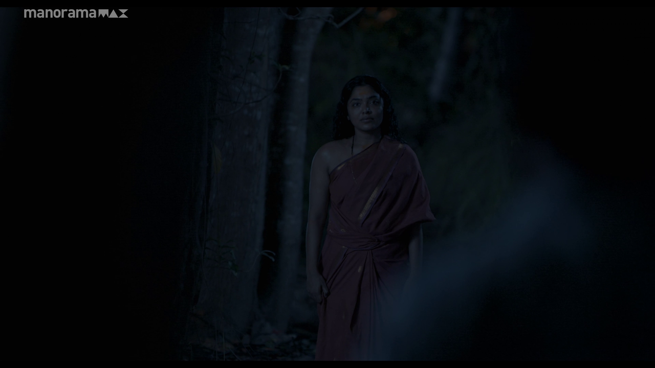 vlcsnap 2026 02 25 12h52m09s005