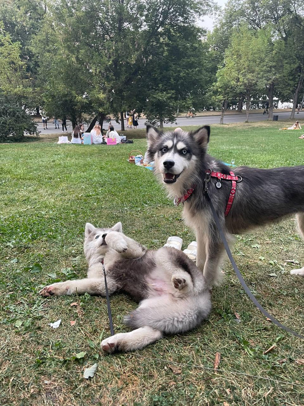 WhatsApp Image 2022-09-03 at 10.21.31 (1)