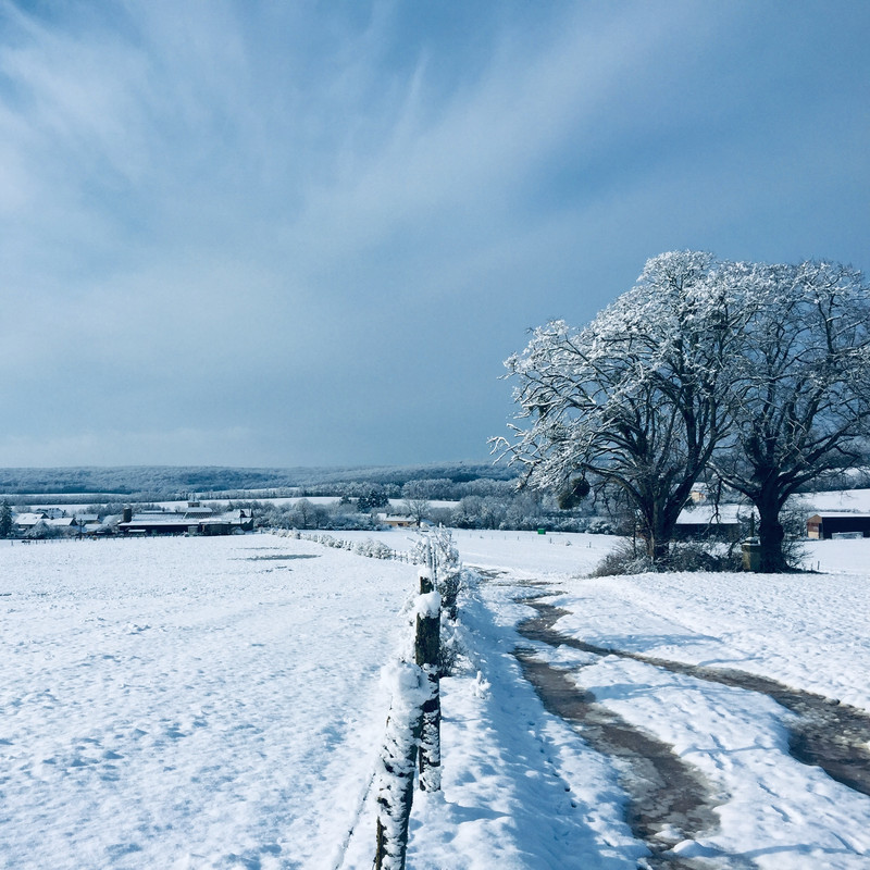 FA641022-7F9D-4BBA-BE74-24B538968235