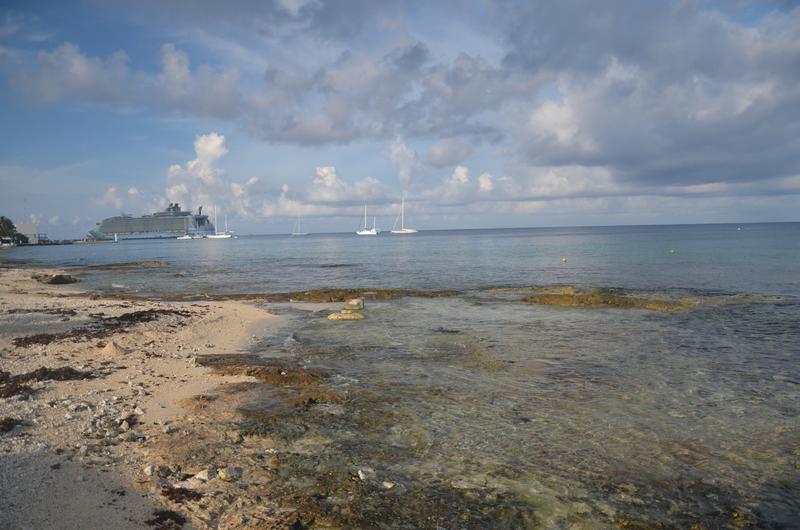 COZUMEL-15-9-2017-MEXICO - Crucero caribeño con MSC OPERA-Septiembre-2017 (16)
