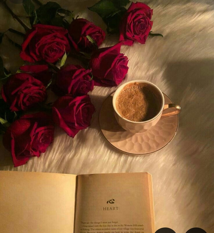 Screenshot_20240629_000215_Pinterest