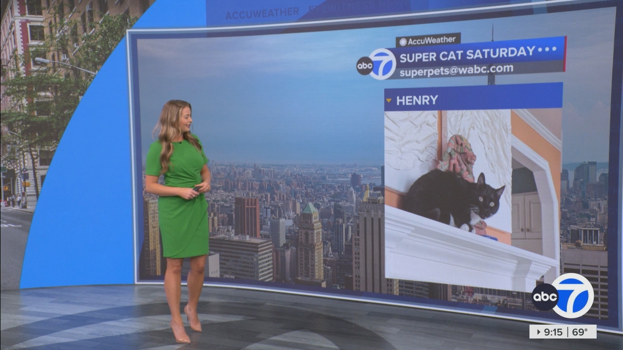 Eyewitness News This Morning_20250503_14001500.ts_snapshot_16.30.876