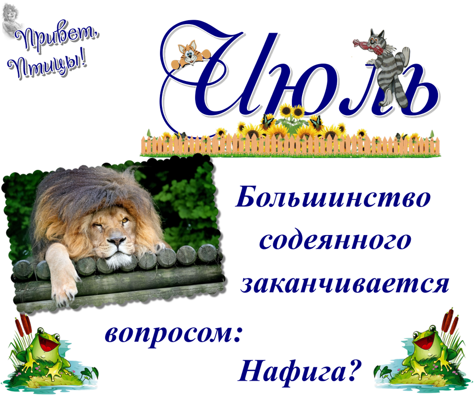 https://i.postimg.cc/xCTtqns6/08-07.png