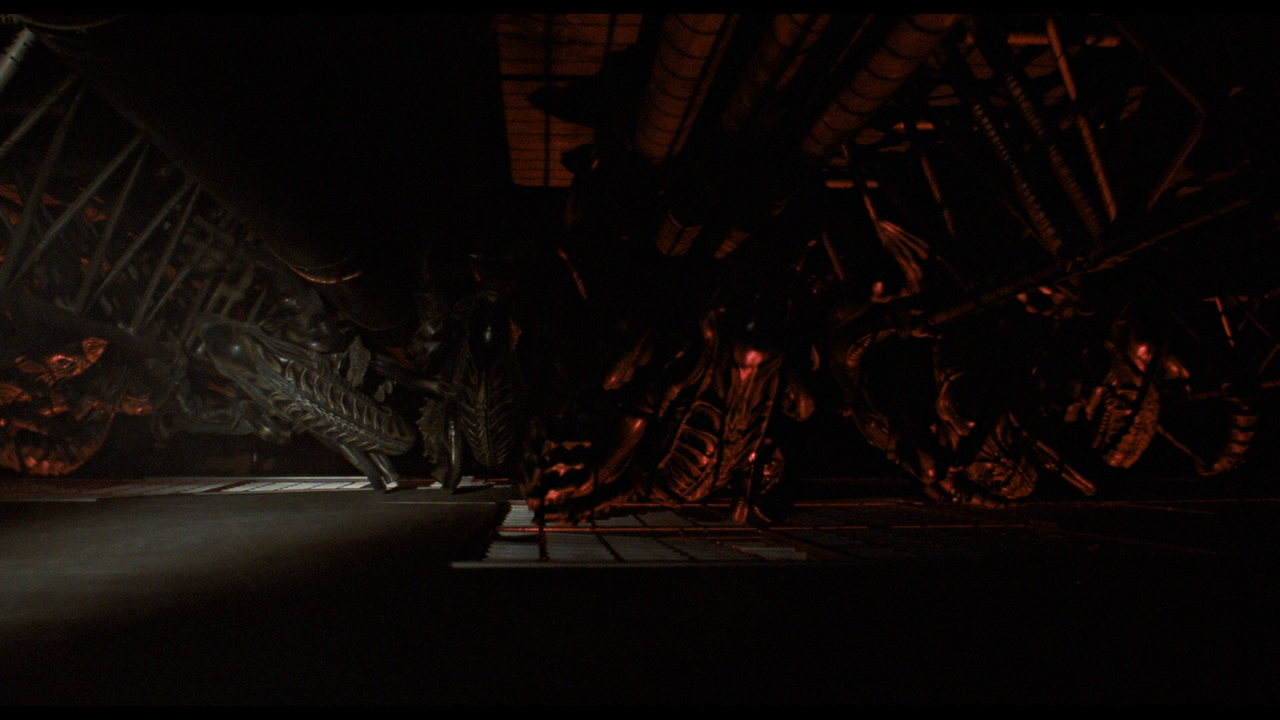 Aliens_t12.mkv_pic4