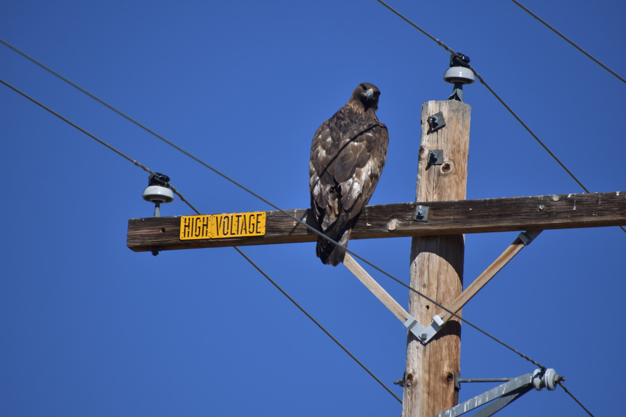 Golden eagle county rd 75 2
