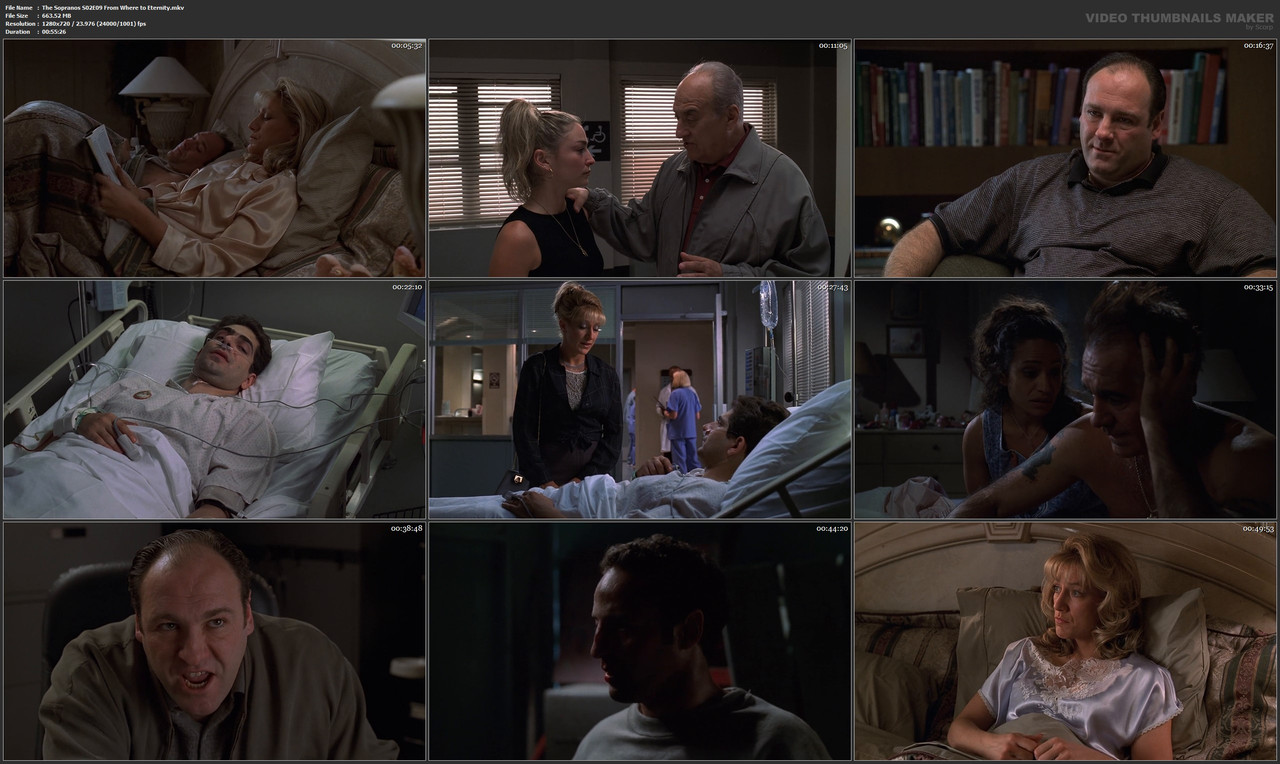 The Sopranos S02E09 From Where to Eternity.mkv