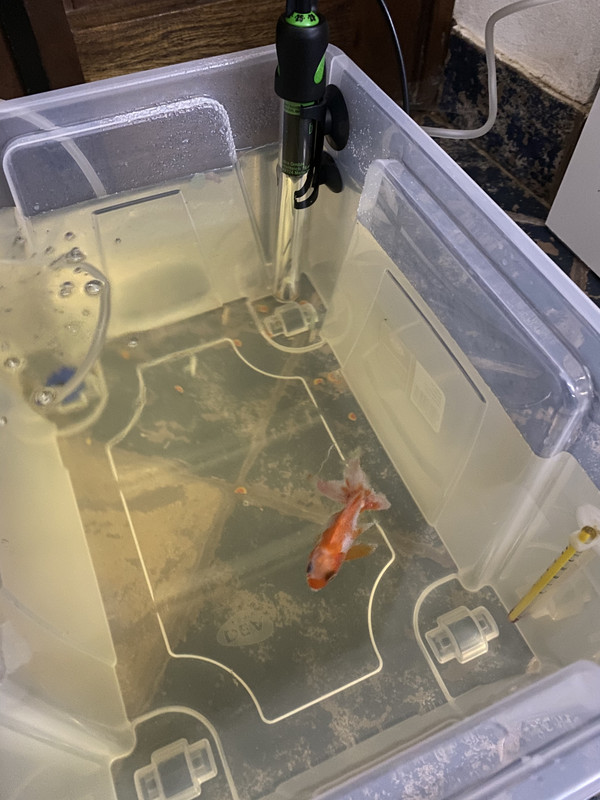 4AB97D2A-E7AF-4756-9CFF-BC32CDE12E6B