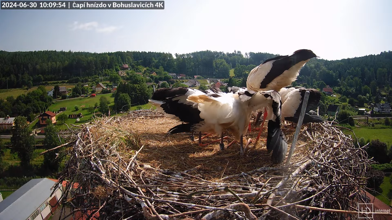 Tiešraidē no uzņēmuma KARA stārķa skursteņa Bohuslavicē pie Trutnovas 10-36-7 screenshot