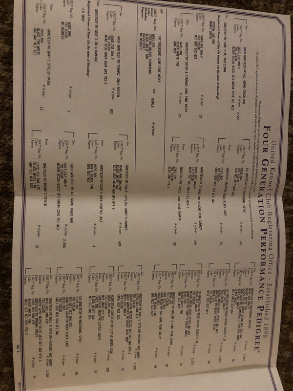 19A617E7-78A0-44E5-8A88-2D1E1739B580