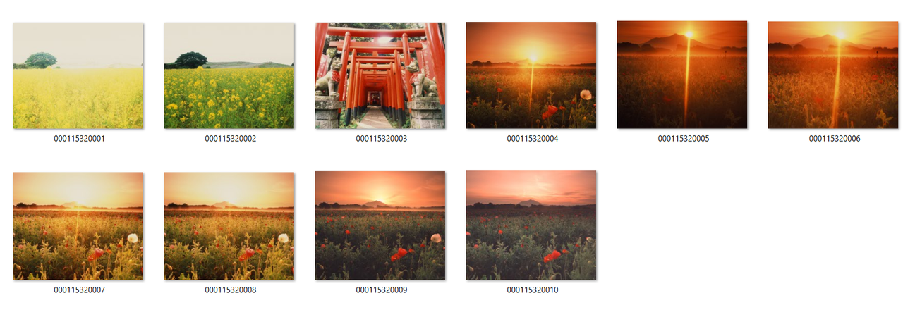 Screenshot 2025-10-11 195033